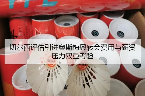 切尔西评估引进奥斯梅恩转会费用与薪资压力双重考验